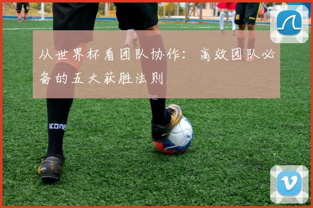 从世界杯看团队协作：高效团队必备的五大获胜法则