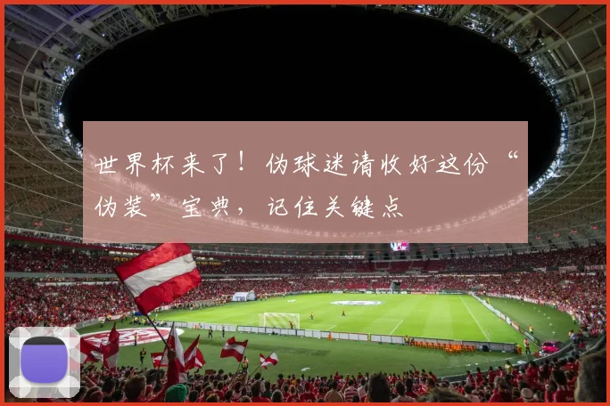 世界杯来了！伪球迷请收好这份“伪装”宝典，记住关键点