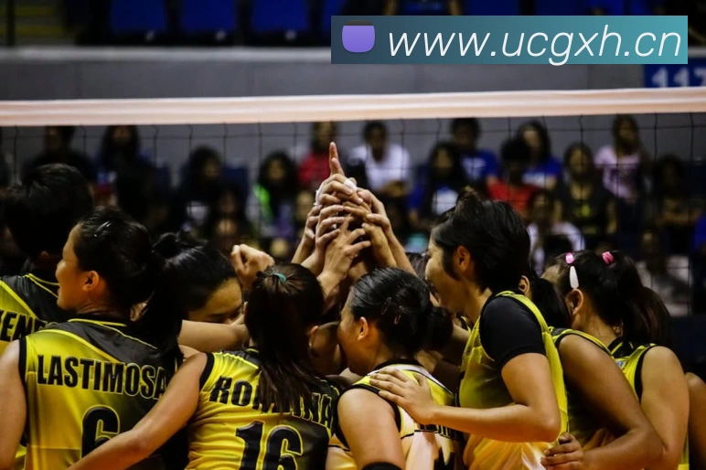 九游网官网登录入口平台生态图